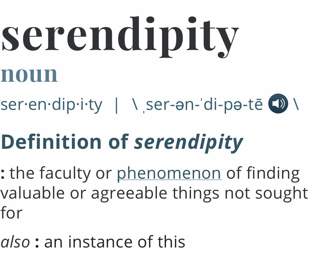 definition of serendipity